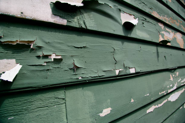 Best Insulated Siding Installation  in Lake Ketchum, WA