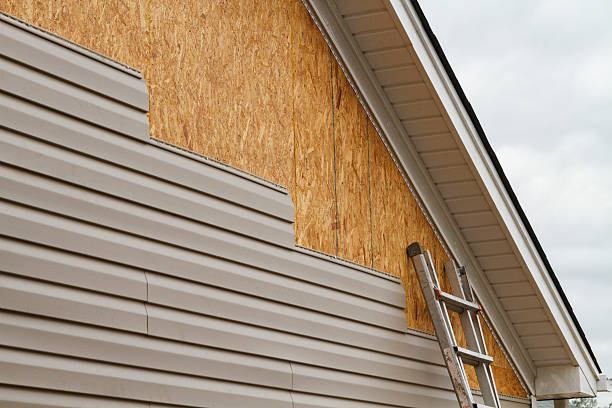 Best Residential Vinyl Siding Installation  in Lake Ketchum, WA